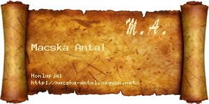 Macska Antal névjegykártya