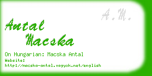 antal macska business card